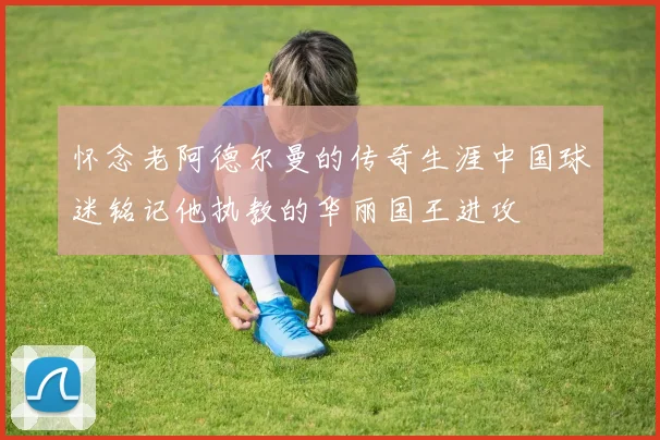 怀念老阿德尔曼的传奇生涯中国球迷铭记他执教的华丽国王进攻