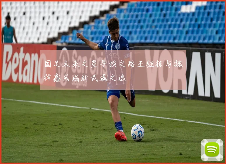 国足未来之星寻找之路王钰栋与魏祥鑫或成新武磊之选